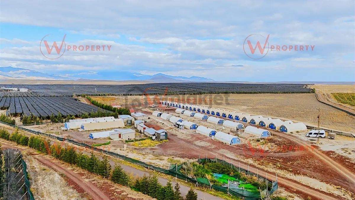 W Property'den Niğde Bor'da 2.291 Dönüm Elma Bahçesi - 2