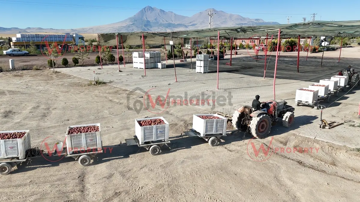W Property'den Niğde Bor'da 2.291 Dönüm Elma Bahçesi - 4