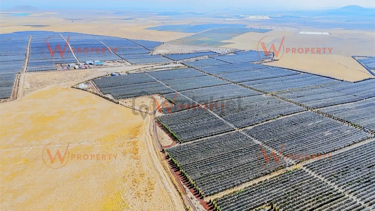 W Property'den Niğde Bor'da 2.291 Dönüm Elma Bahçesi - 25
