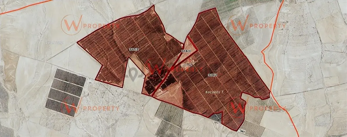 W Property'den Niğde Bor'da 2.291 Dönüm Elma Bahçesi - 32