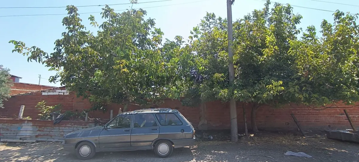 Manisa Şehzadeler Aşağı Çobanisa'da Satılık Arsa