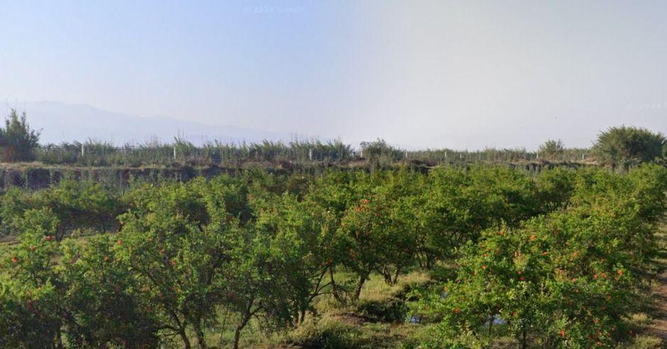 Aydın Nazilli'de Satılık 60 Dönüm Arsa Ve Fabrika Binası - 27
