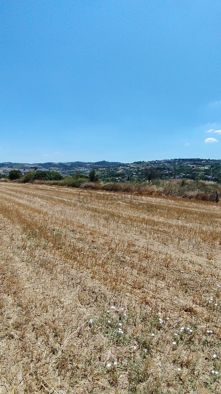 Turyap'tan Çınarcık Koru'da 744m² 3 Kat İmarlı Köşe Parsel - 19