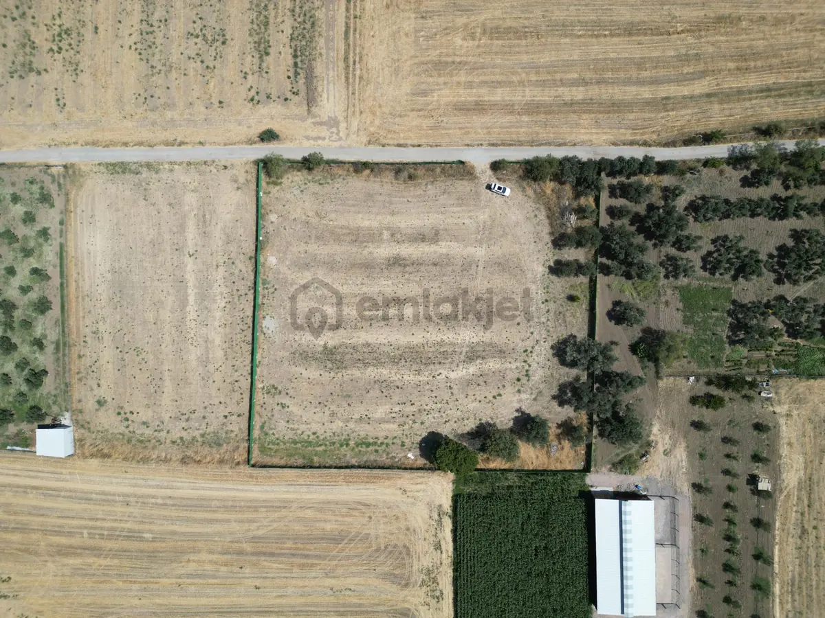 Aliağa Helvacı’da Satılık 5071 M2 Müstakil Tarla - 27