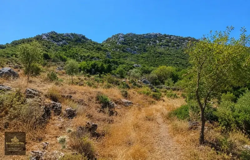 Marmaris Selimiye Köyü'nde Acil Satılık Arazi - 4