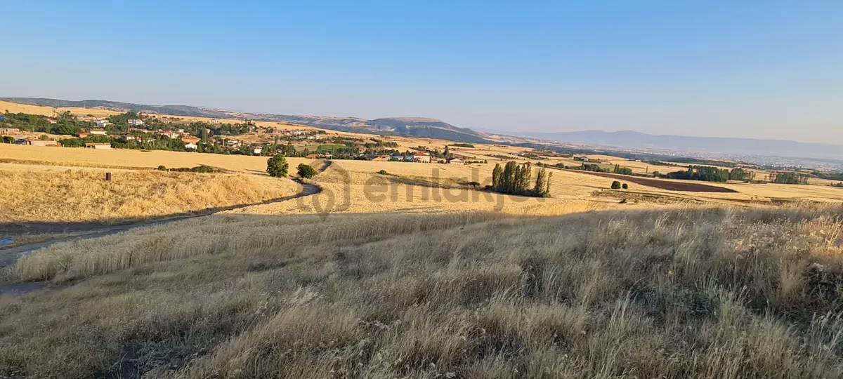 Arkadaş Emlaktan Büğet Köyünde 11.864 M2 Satılık Tarla - 7
