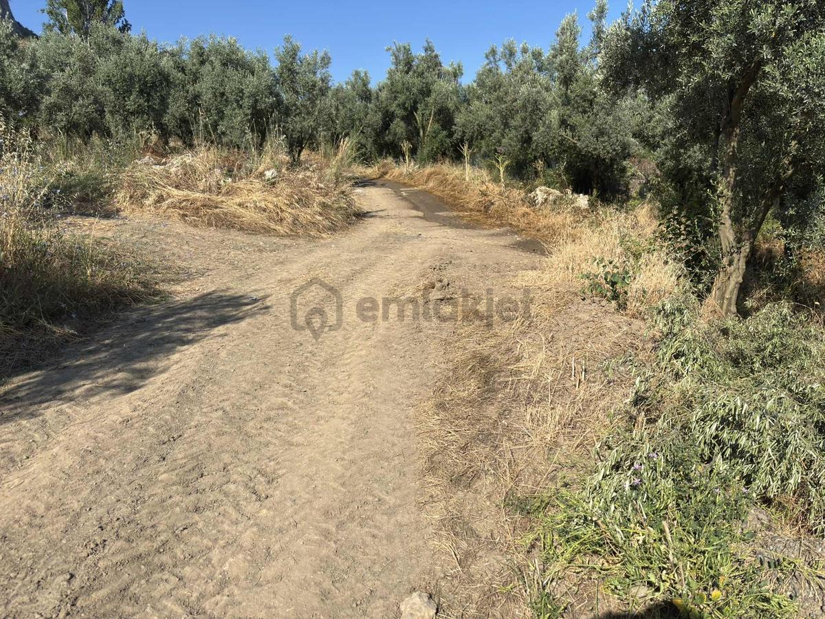 Göl Manzaralı Satılık İmarlı Arsa Kupon Fiyat - 15