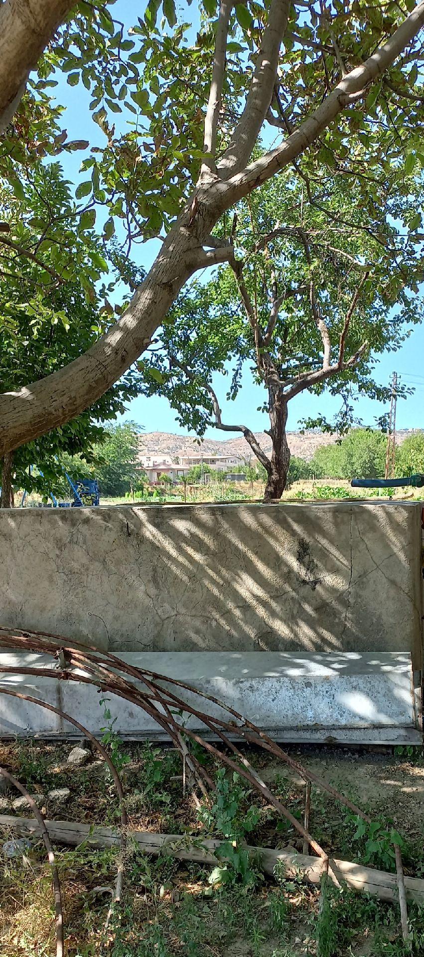 Sahibinden Satılık Bahçe Evi Havuzlu - 6