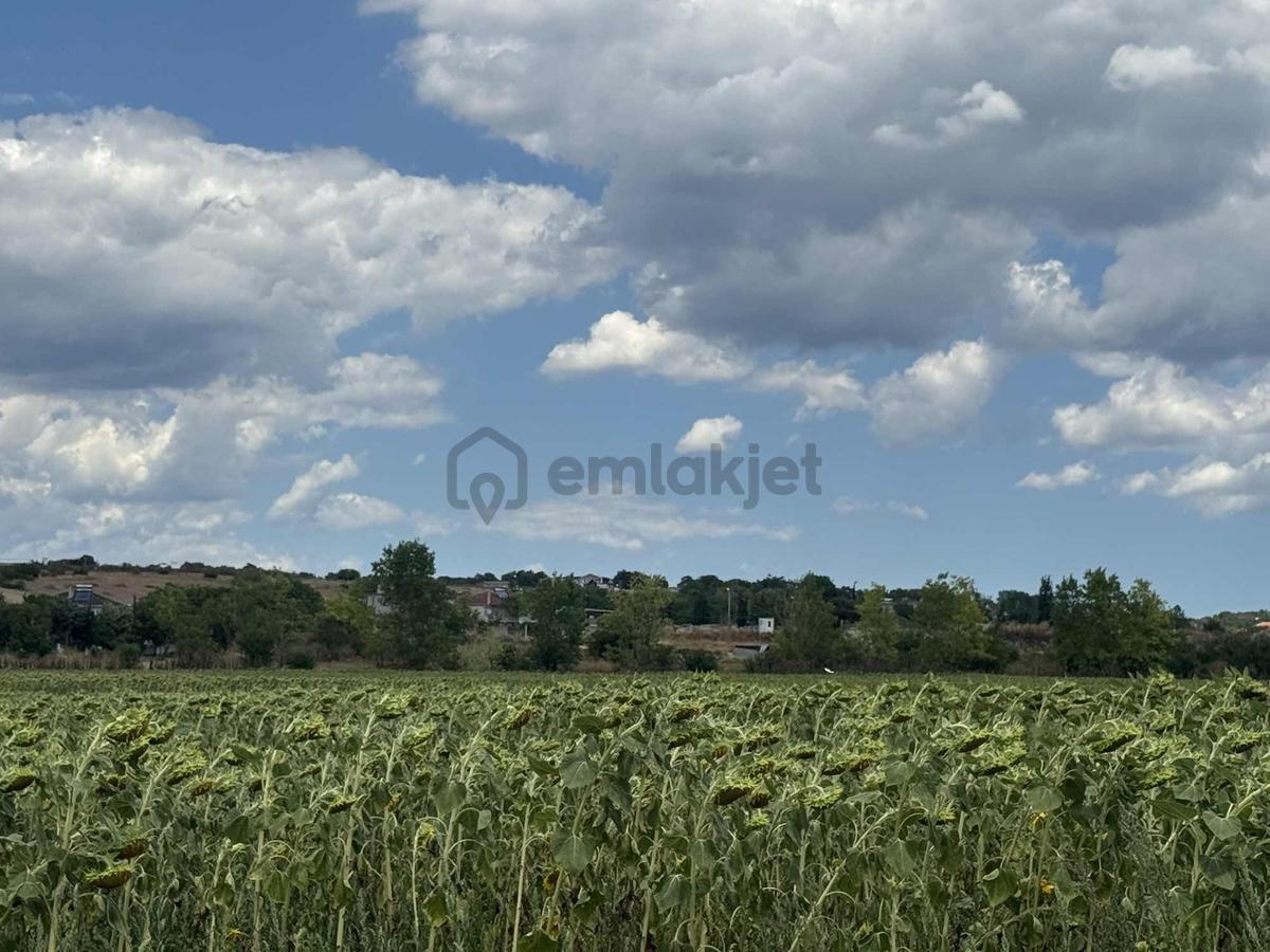 Vize Evrenli Sanayi Kurulacak Olan Mevki De 548 M2 Arsa - 5