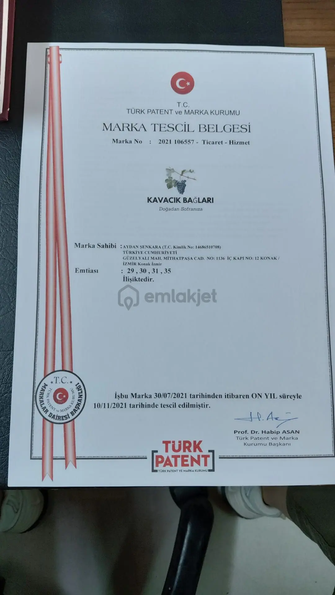 İzmir Kavacık Ta 22 Dönüm Satılık Bağ - 6