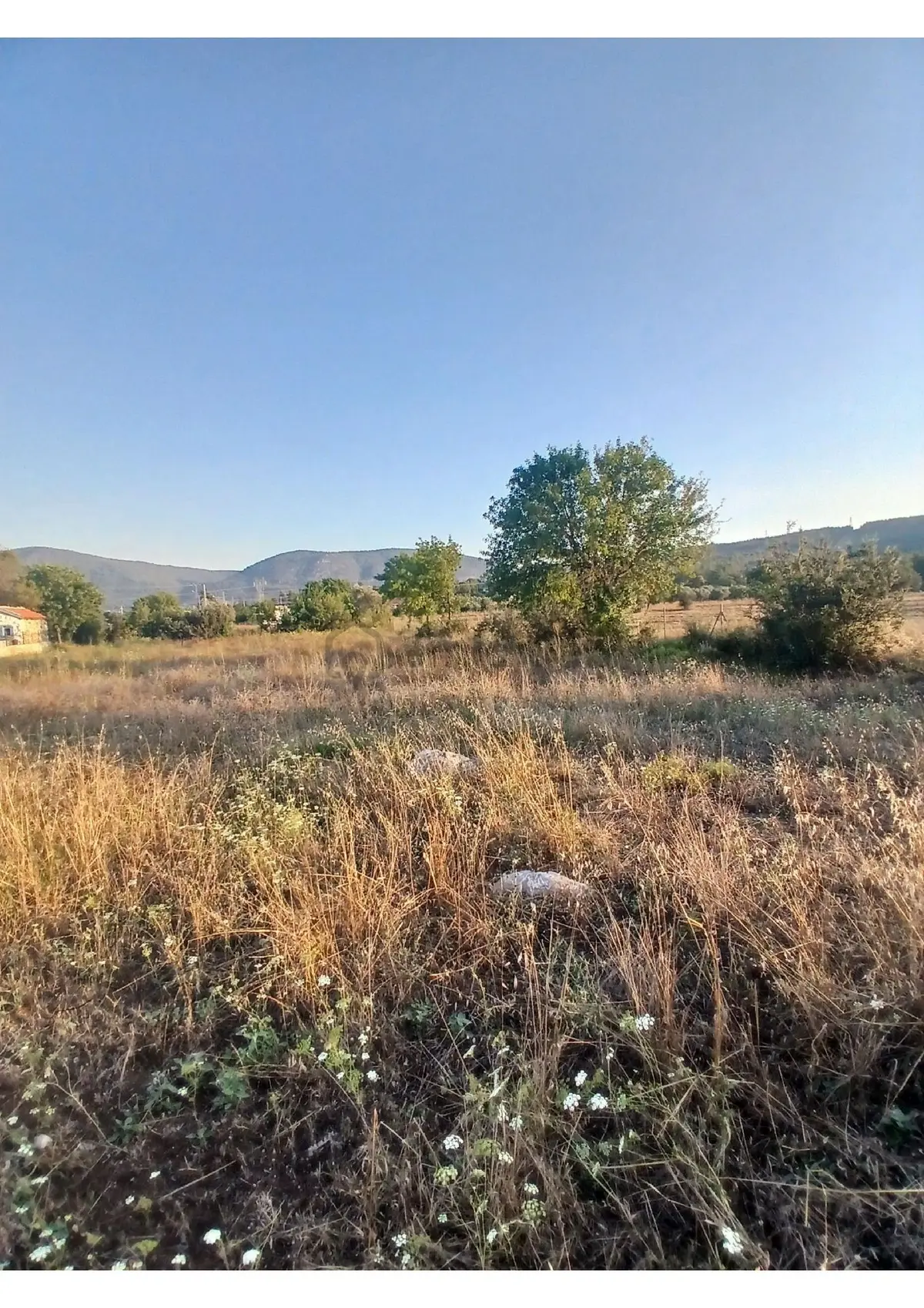 Bodrum Kumköy Satılık Arsa - 17