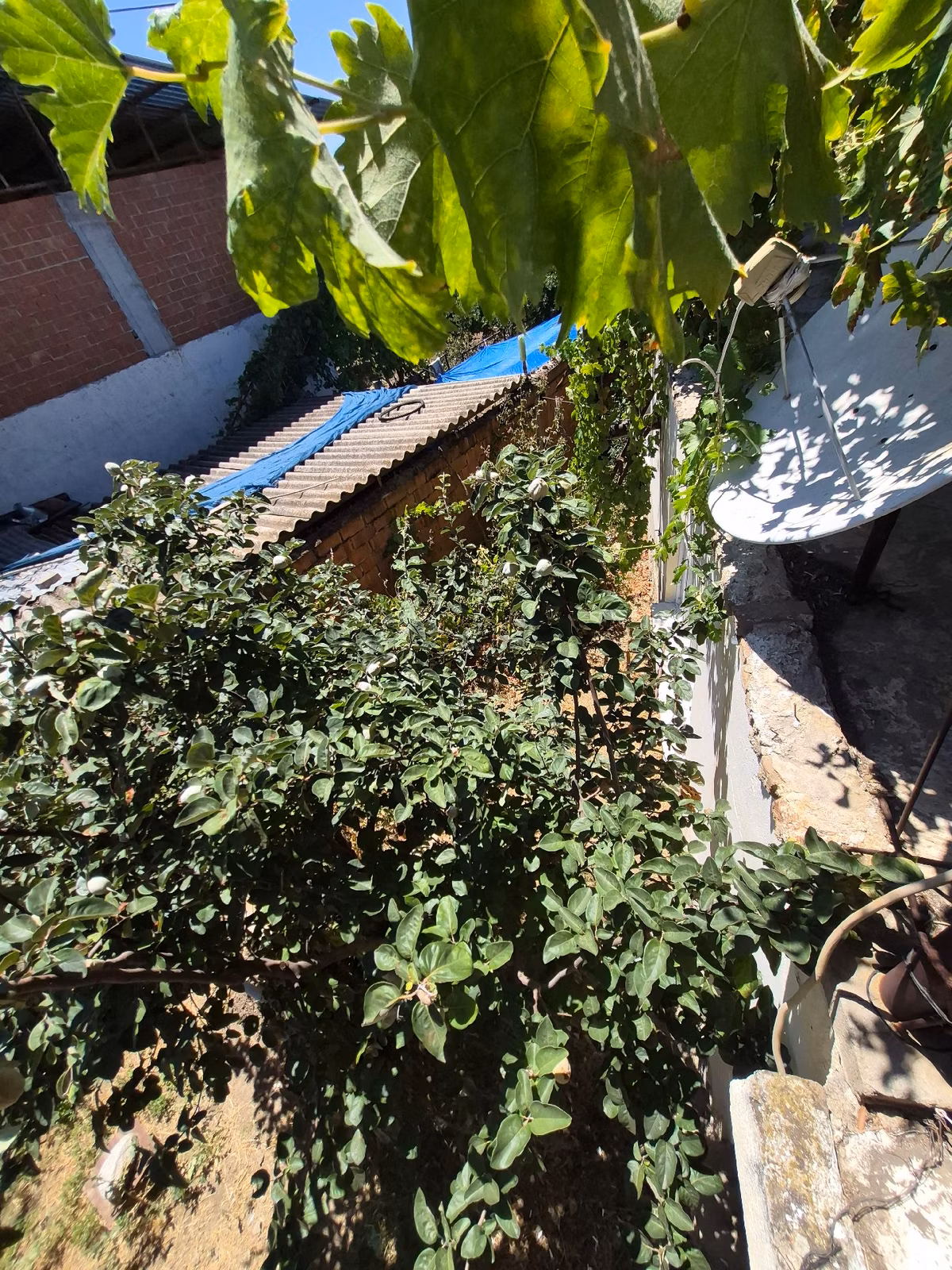 Nazilli Hasköy De 400 Metrekare İçinde 2+1 Köy Evi - 5