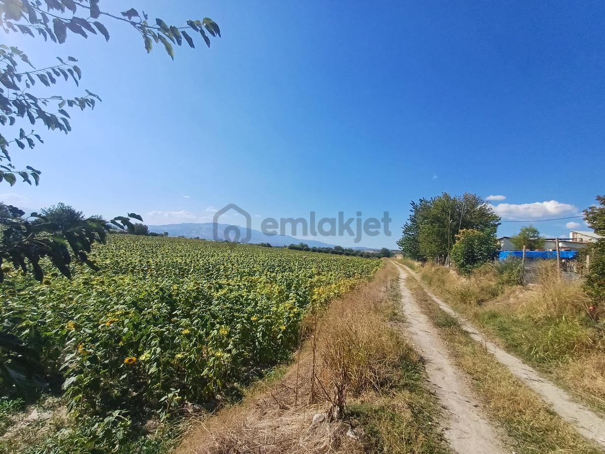 Şehzade'den Akköy/çeşmebaşı'nda 22.000m² Satılık Tarla - 10