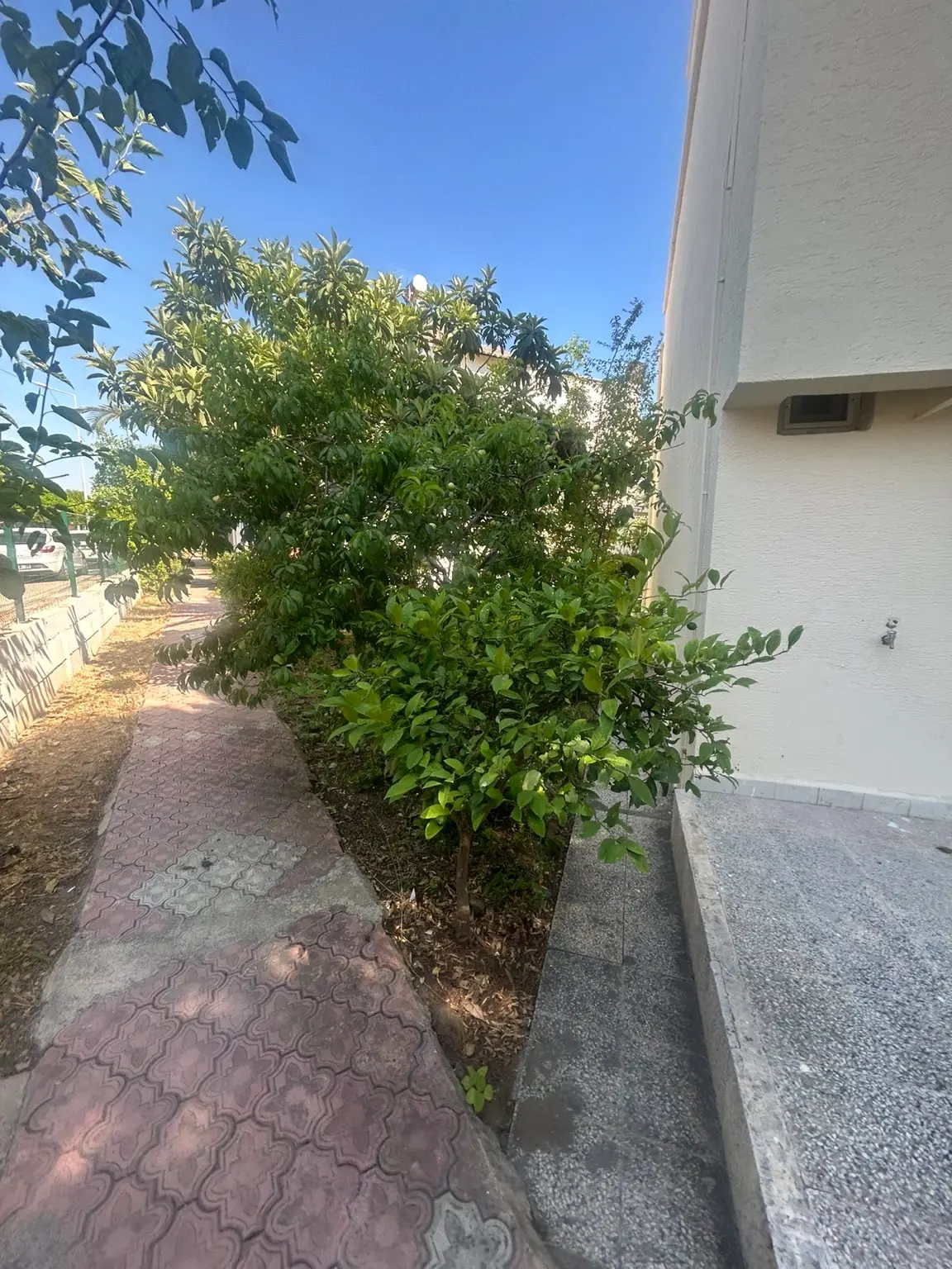 Boğazkent Kiralık 2+1 Dublex - 3