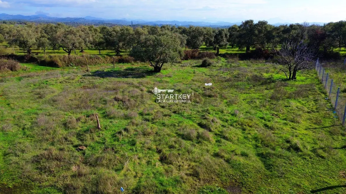 Ortaklar'da 575 M2 Satılık İmarlı Arsa - 7