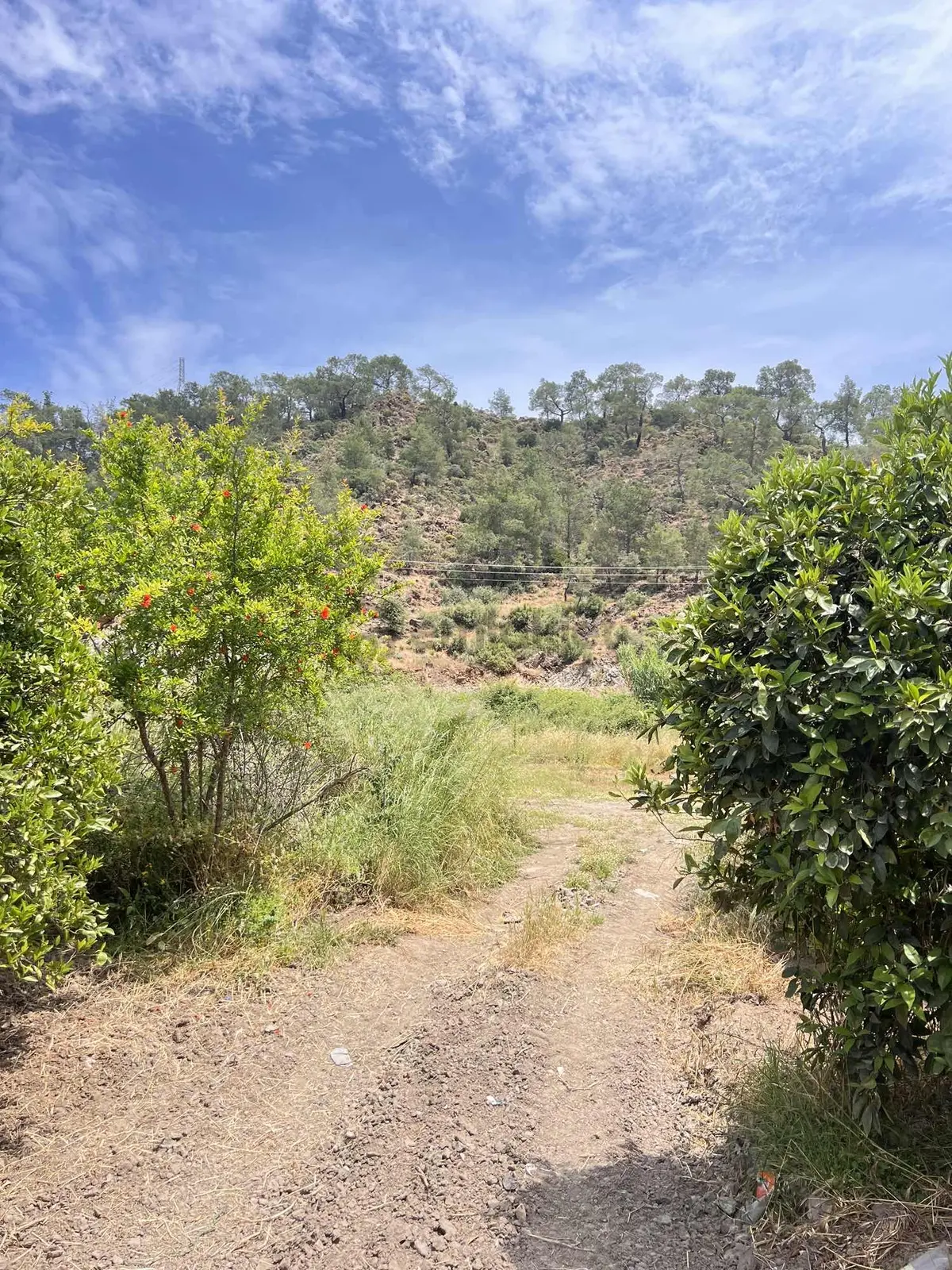 Kemer Kuzdere"de Satılık Tarla - 6