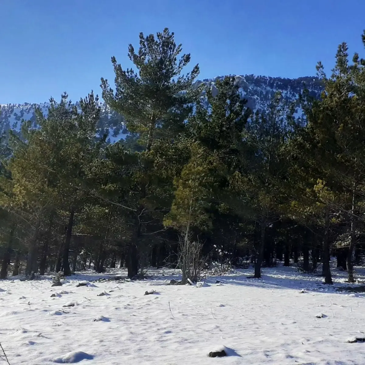 Kar Emlak Tan Yeni Konacık Ta Yüksek Konumlu 400 M2 Satılık Arsa - 15