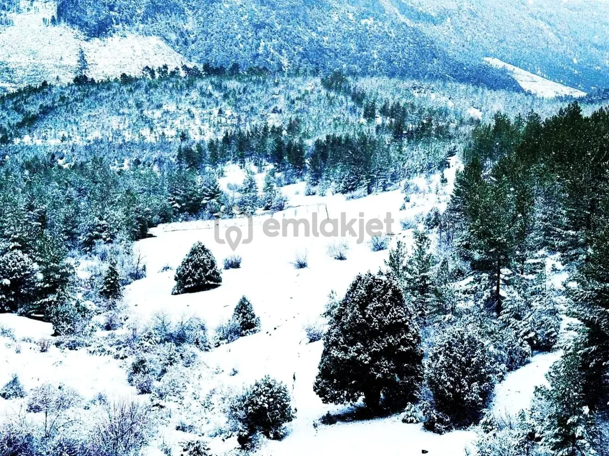 Kar Emlak Tan Alpu Yaylası'nda İmara Uygun 5 Dönüm Tarla - 26