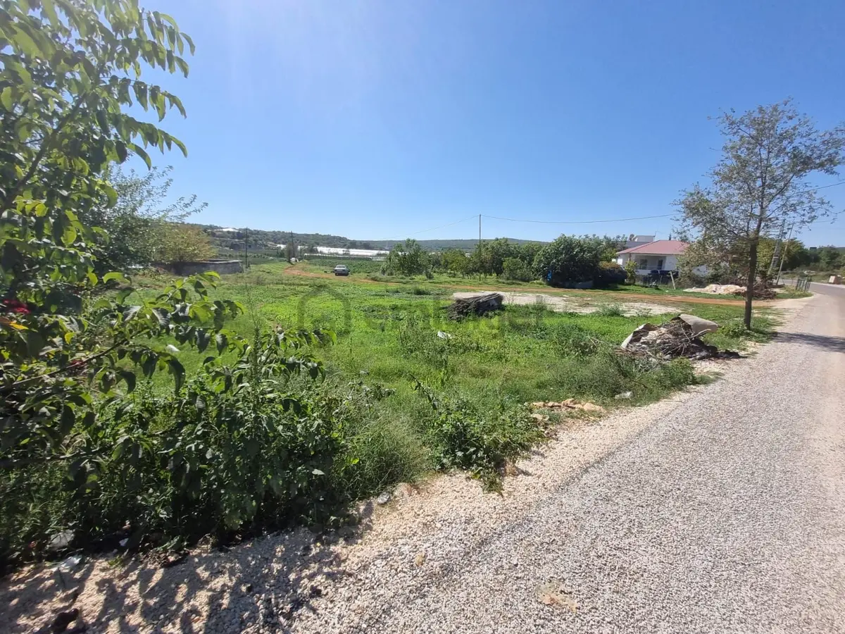 Sahibinden Hüsametli Yola Cepheli 1100m Bahçe - 4