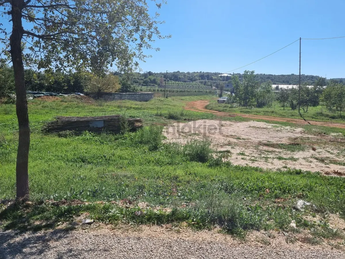 Sahibinden Hüsametli Yola Cepheli 1100m Bahçe - 7