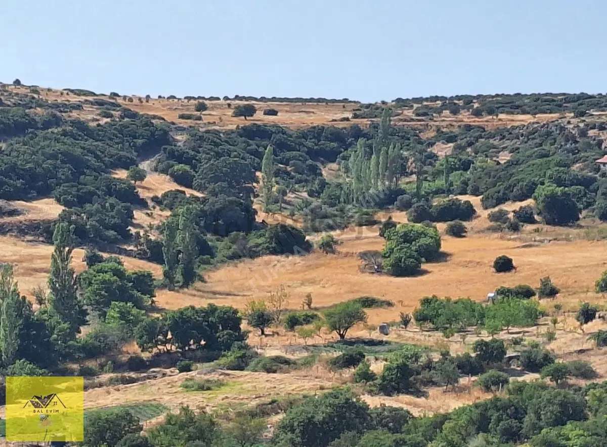 Karaburun Yayla Köy'de Satılık Tarla - 4