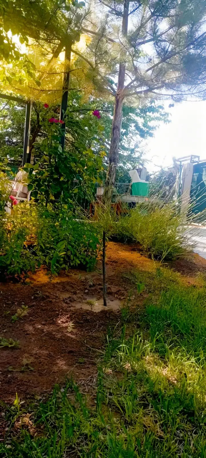 Gerder 200m2 Arsa Üzeri 85m2 Satılık İmar Barışlı Ev - 23