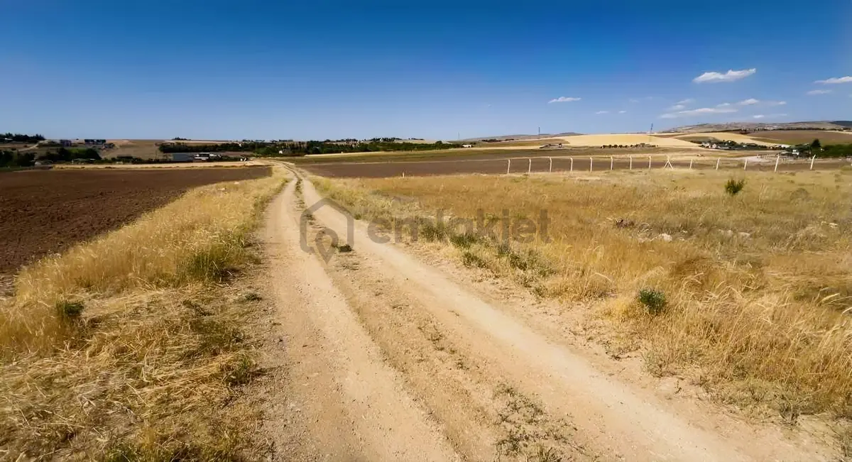 Karaoğlan Da Satılık 2674 Metre² Tarla - 10