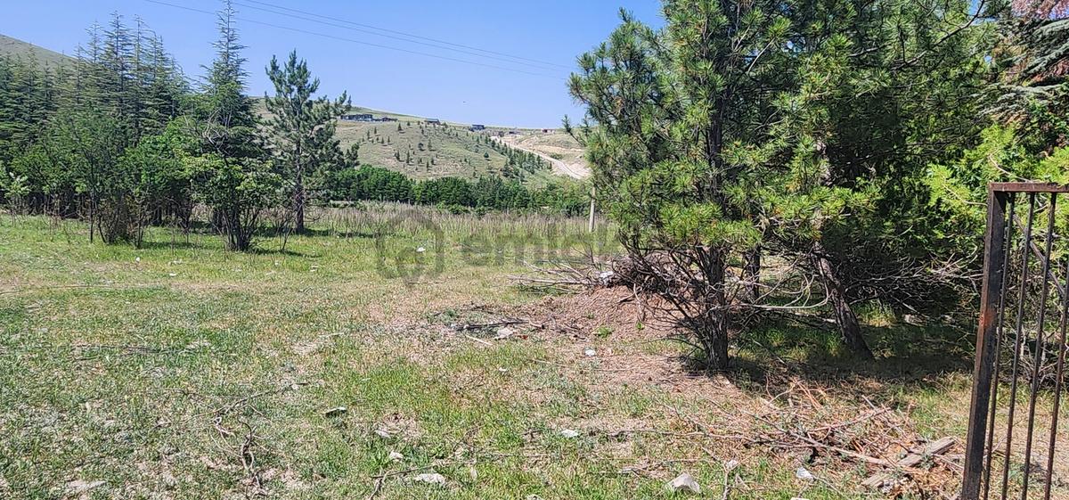 Beynam Mah Asvalt Cepeli Tek Tapu 17,500m2 Müstakil Arazi - 10