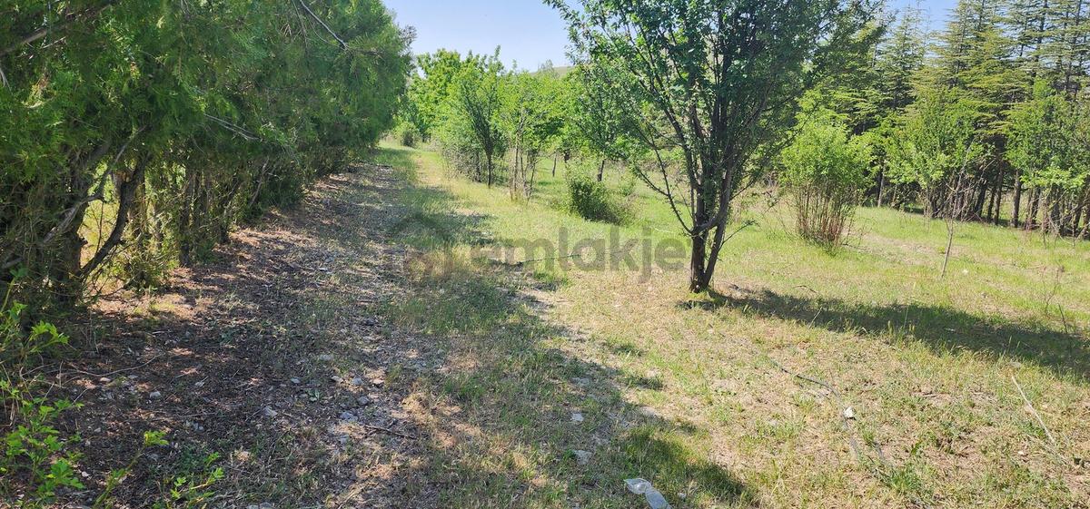 Beynam Mah Asvalt Cepeli Tek Tapu 17,500m2 Müstakil Arazi - 29