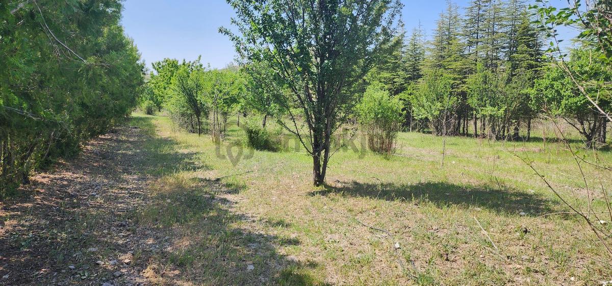 Beynam Mah Asvalt Cepeli Tek Tapu 17,500m2 Müstakil Arazi - 5