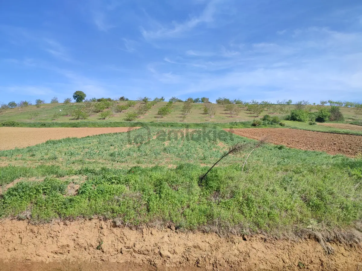 Bulut Yatırımdan 1380 M² Çanakkale Otobanı Üzerinde Tarla - 19
