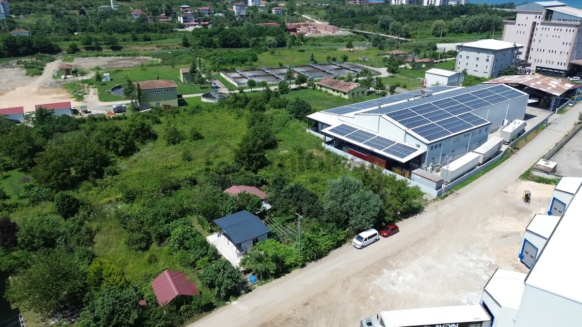 Revizyon'dan Gölevinde İmarlı-meyve Bahçeli Müstakil Arsa!!! - 25