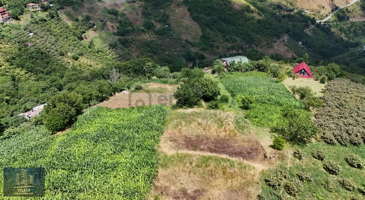 Vyg'den Özmersinde Deniz Manzaralı Satılık Müstakil Arsa - 6