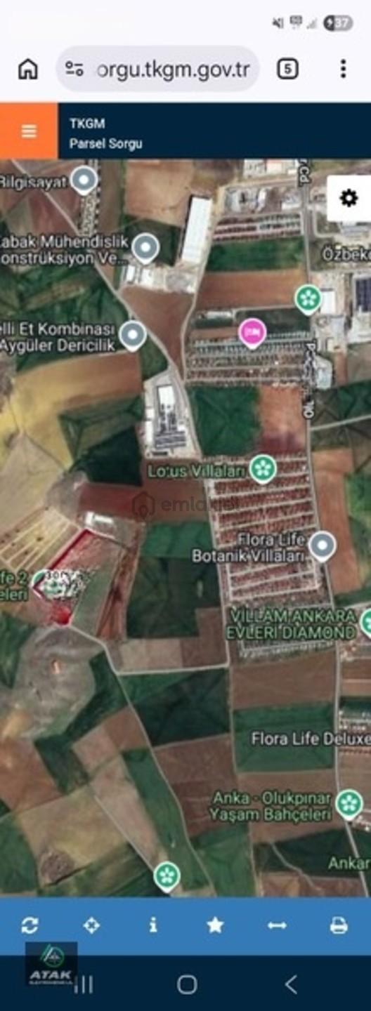 Temelli Cumhuriyet, De Site İçerisinde Hobi Bahçesi - 8