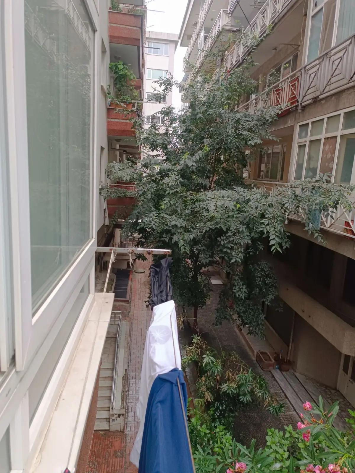 Fırsat Deire Kaçıran Çok Üzülür - 3
