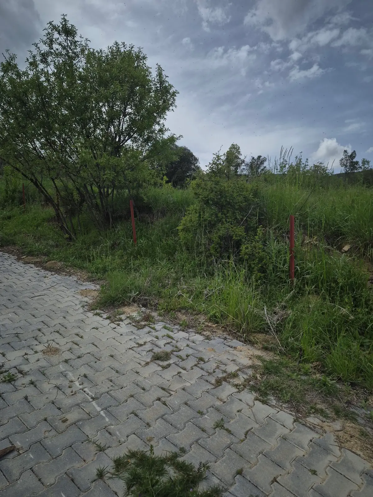 2500 M2 İçinde Evi İle Birlikte Kupon Arazi - 11