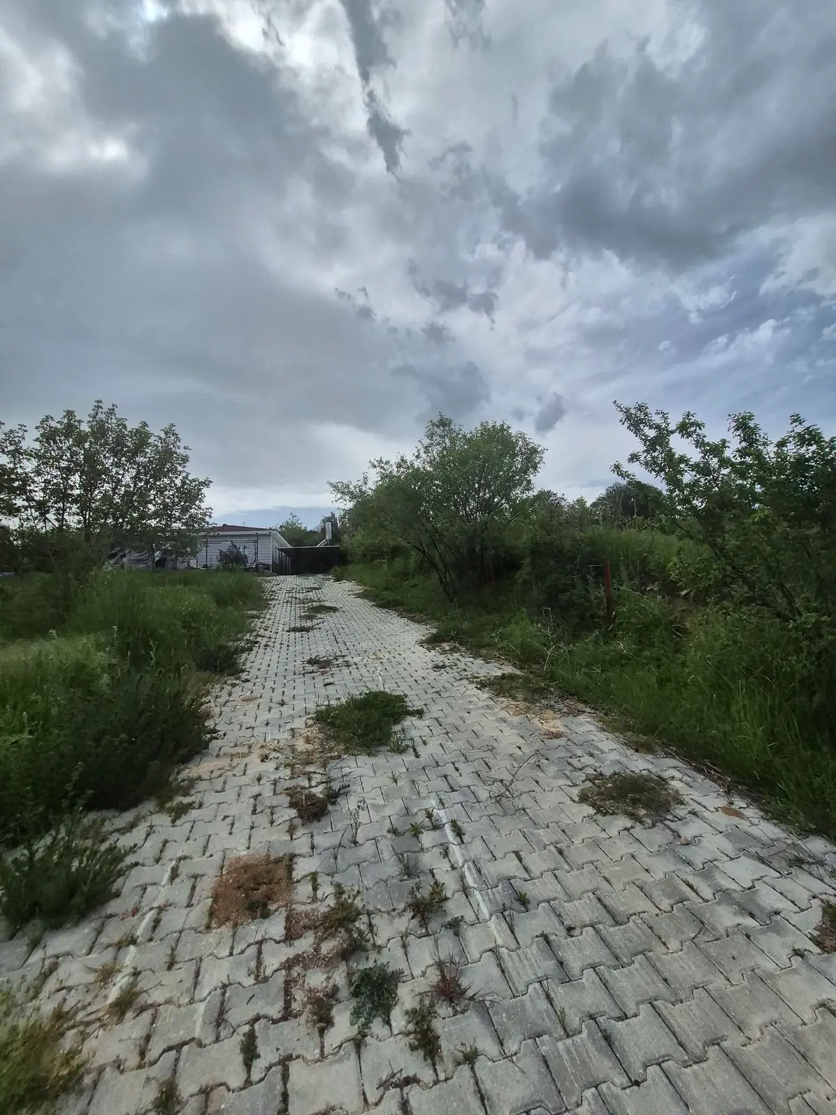 2500 M2 İçinde Evi İle Birlikte Kupon Arazi - 13