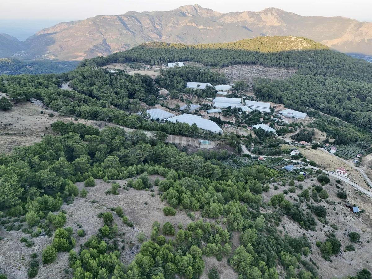 Yeşilköy'de Dere Kenarı, Yatırımlık Tarla - 19