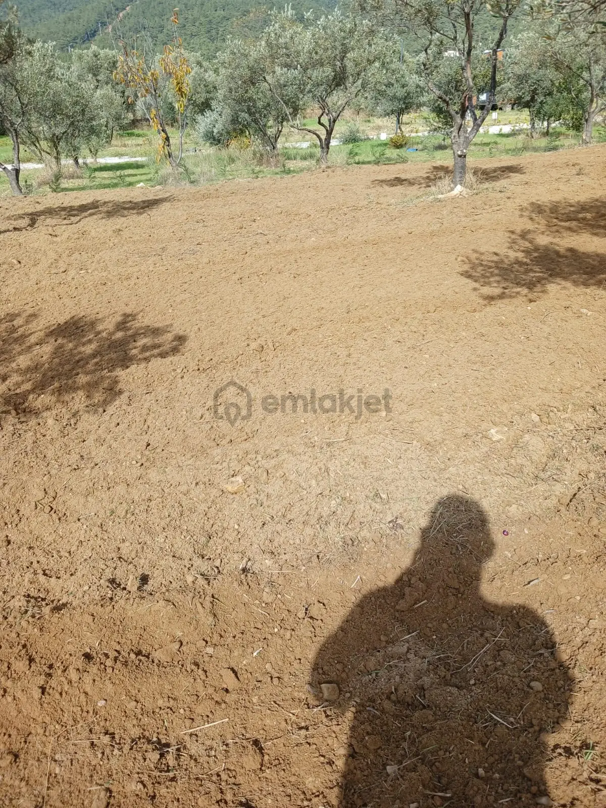 Kemalpaşa Dereköy'de Satılık Hobi Bahçesi 243 M2 - 11