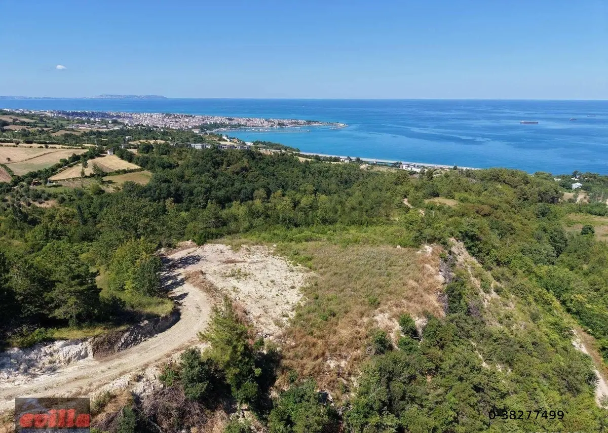 Sinop Gerze Çakallı Mah. Satılık Manzaralı Parsel - 8