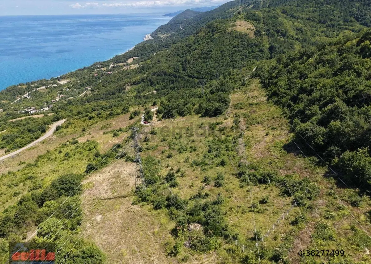 Sinop Gerze Çakallı Mah. Satılık Manzaralı Tarla - 13