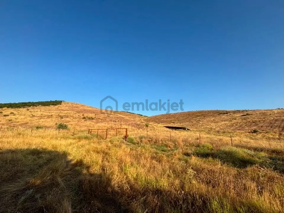 Tc Emlaktan Satılık 78 Dönüm Tarla ! - 31