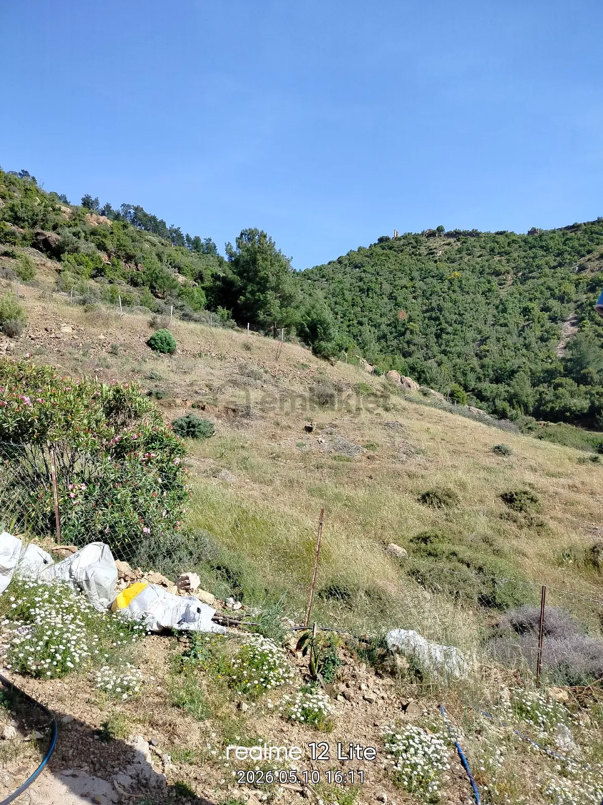 Müstakil Tapulu Tarla