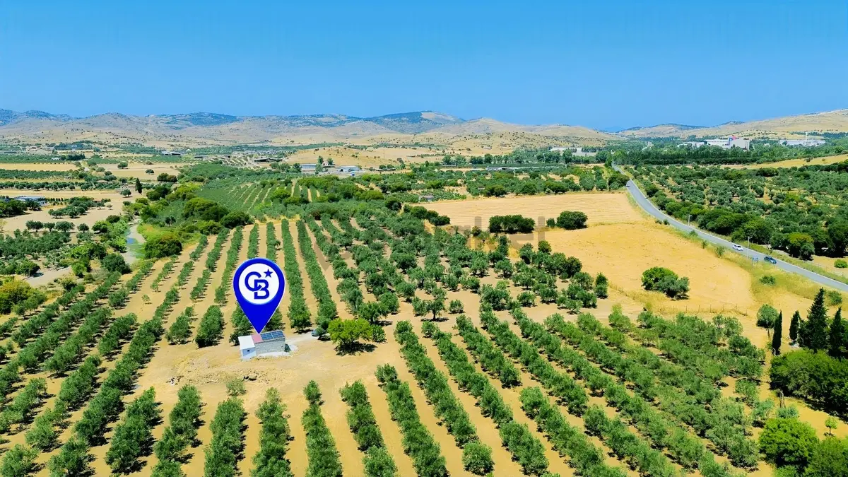 Foça Yenibağarası Mah. Kiralık Müstakil Ev - 16