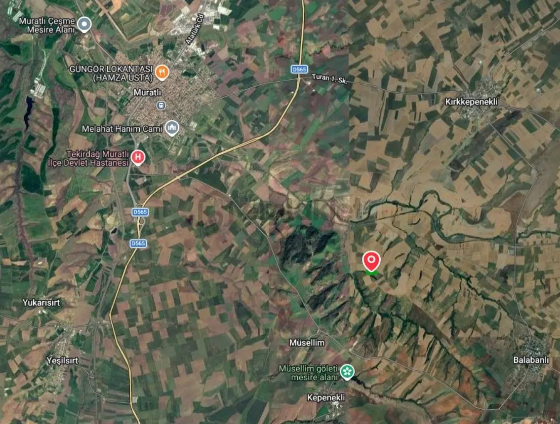 Tekirdağ Muratlı Muradiye Mahallesi Satılık 9.046,80 M² Tarla - 3