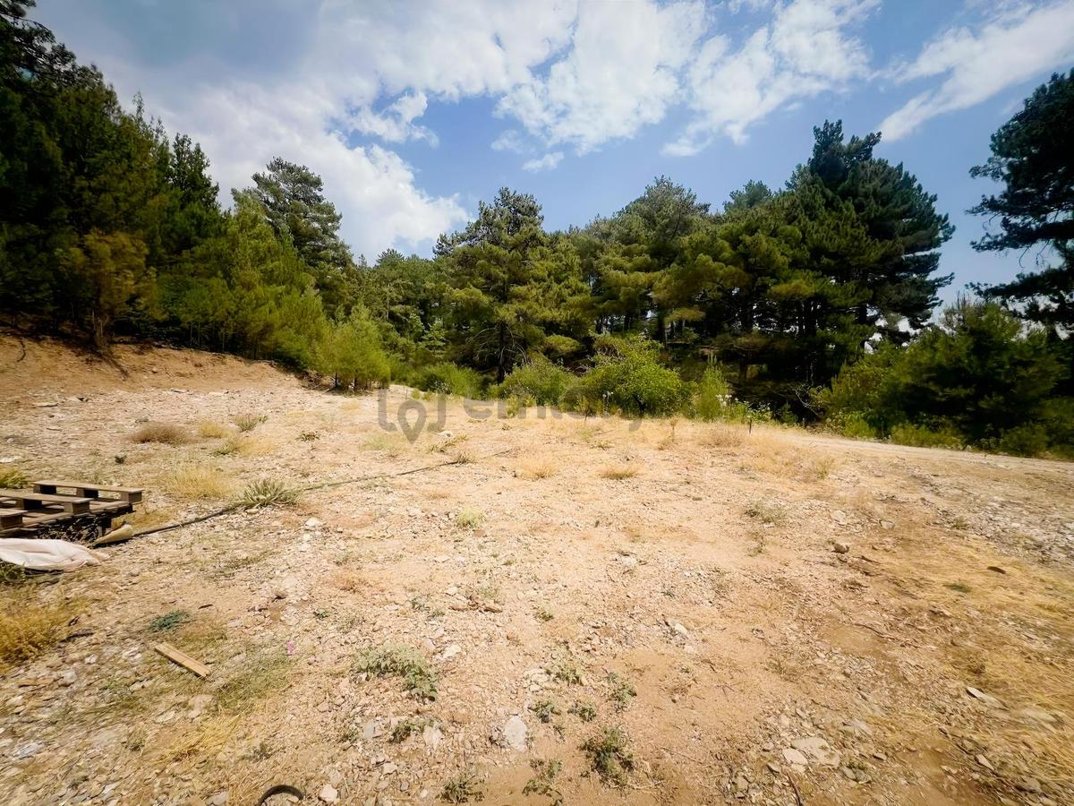 Yayla Koruda Satılık 480 M2 Rızai Taksimli Tarla - 7