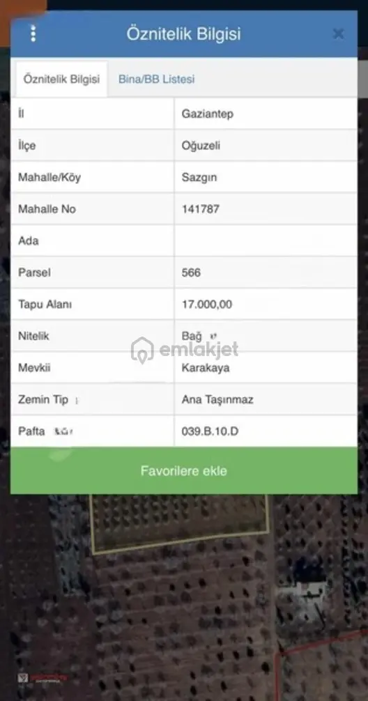 Yatırımlık Zeytin Bahçesi - 3