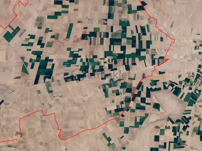 Sarayönü Başhüyük'te Toplam 87.968 M² Satılık 3 Tarla - 4