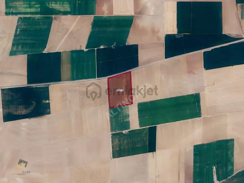 Sarayönü Başhüyük'te Toplam 87.968 M² Satılık 3 Tarla - 3
