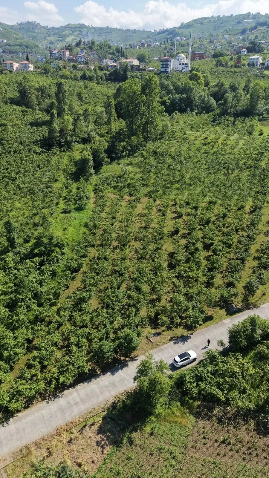 Trabzon Ortahisar Yeşilovada Satılık 3442 M2 Arsa - 12